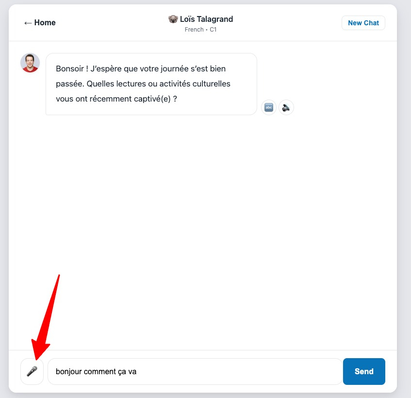 Voice Chat Feature